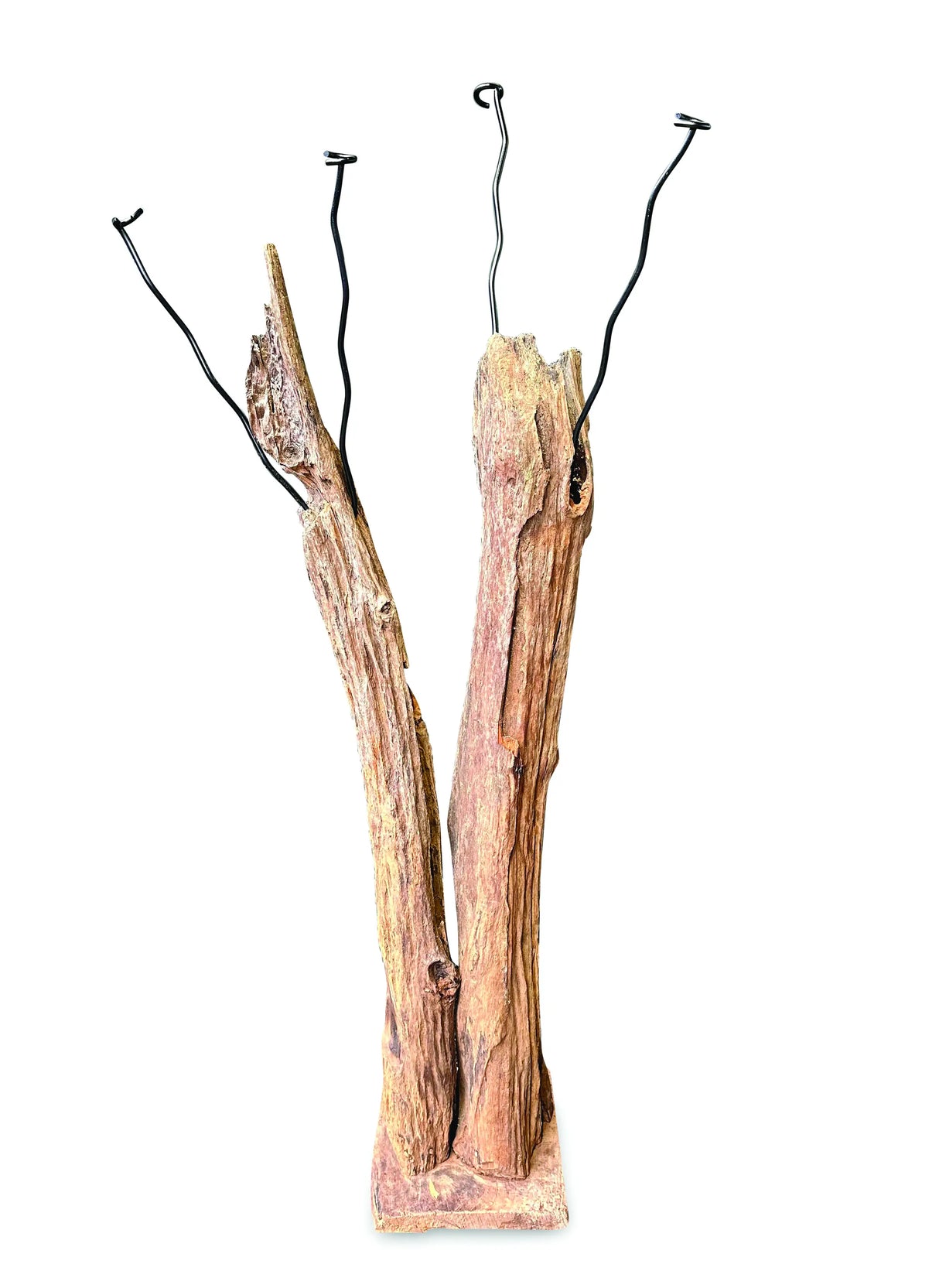 Driftwood Double Sculpture Coat Stand