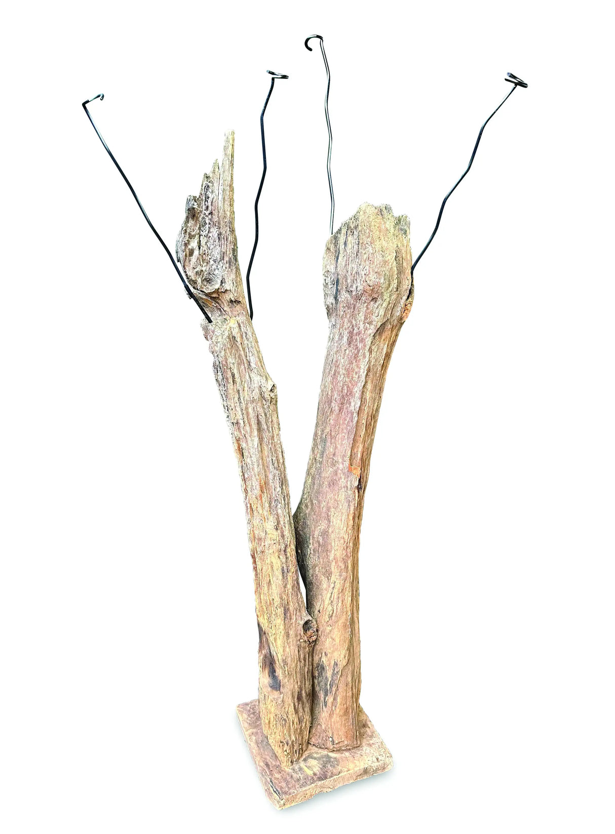 Driftwood Double Sculpture Coat Stand