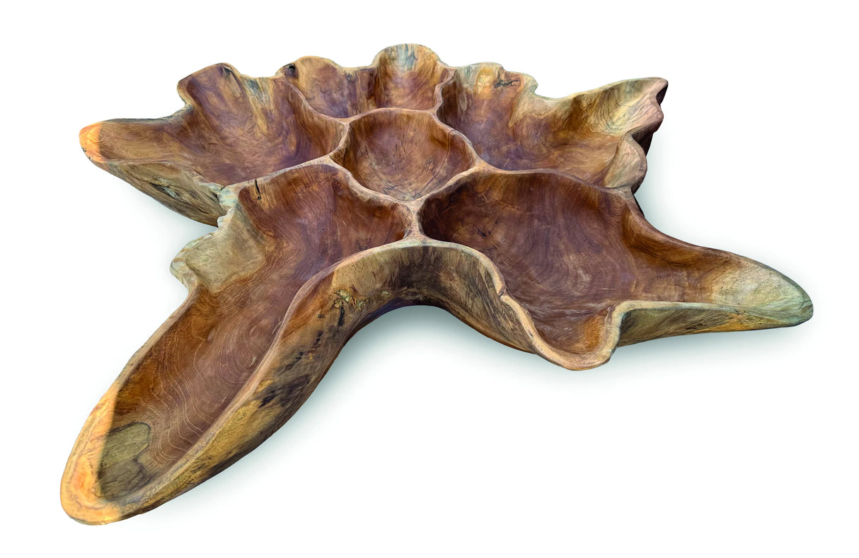 Teak Root Wall Art Sculpture Large