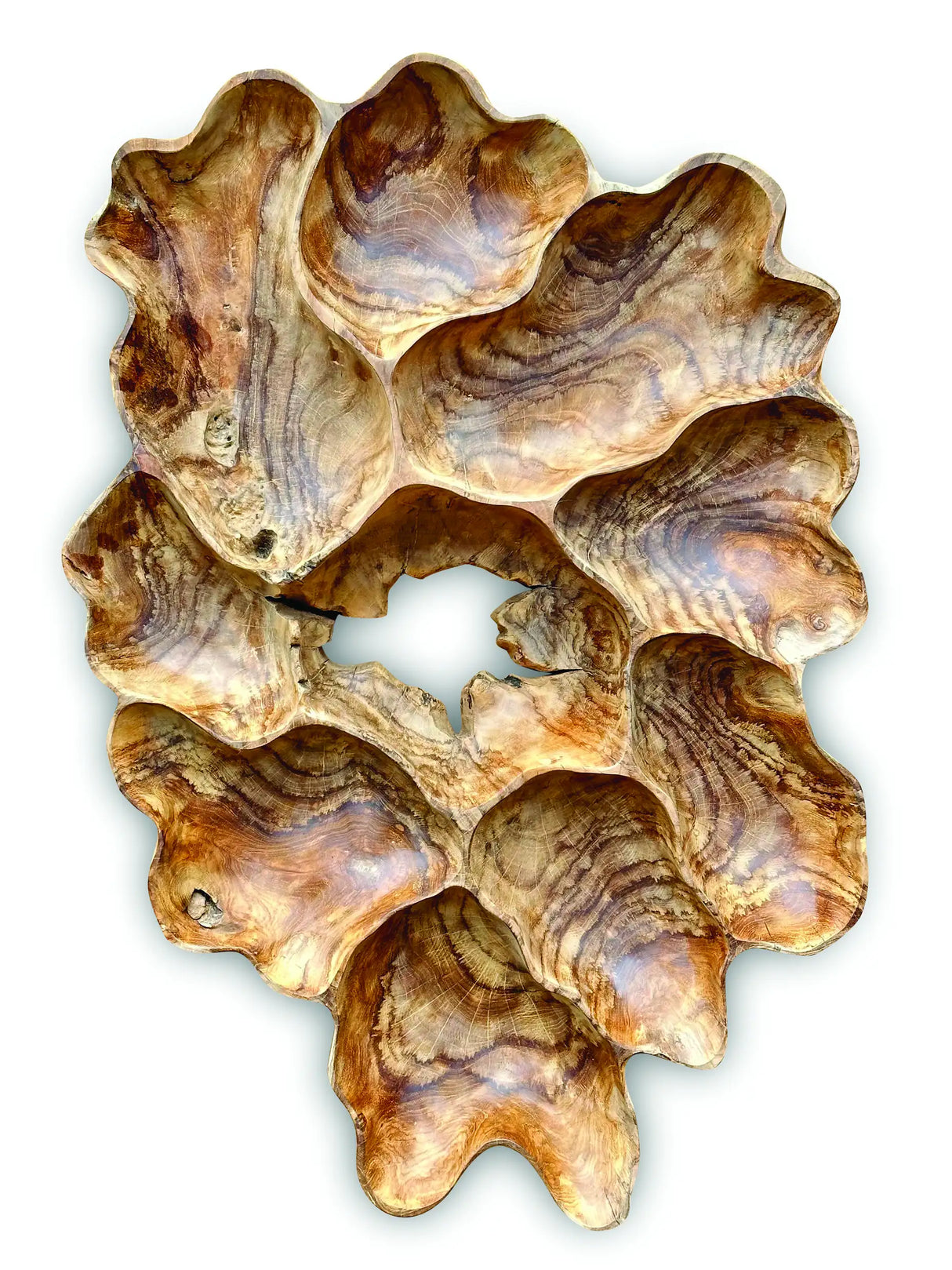 TEAK ROOT WALL ART SCULPTURE LARGE (ALL UNIQUELY DIFFERENT)
