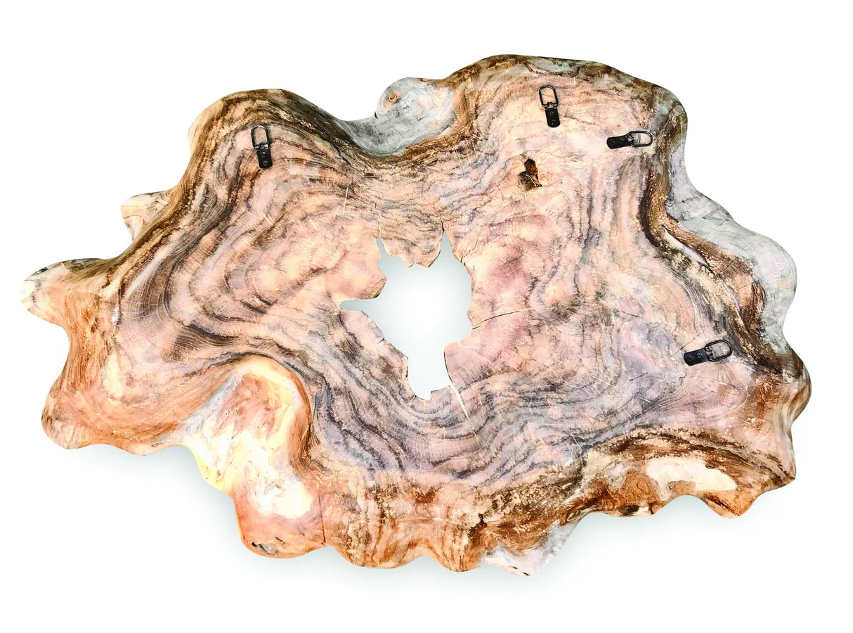 TEAK ROOT WALL ART SCULPTURE LARGE (ALL UNIQUELY DIFFERENT)