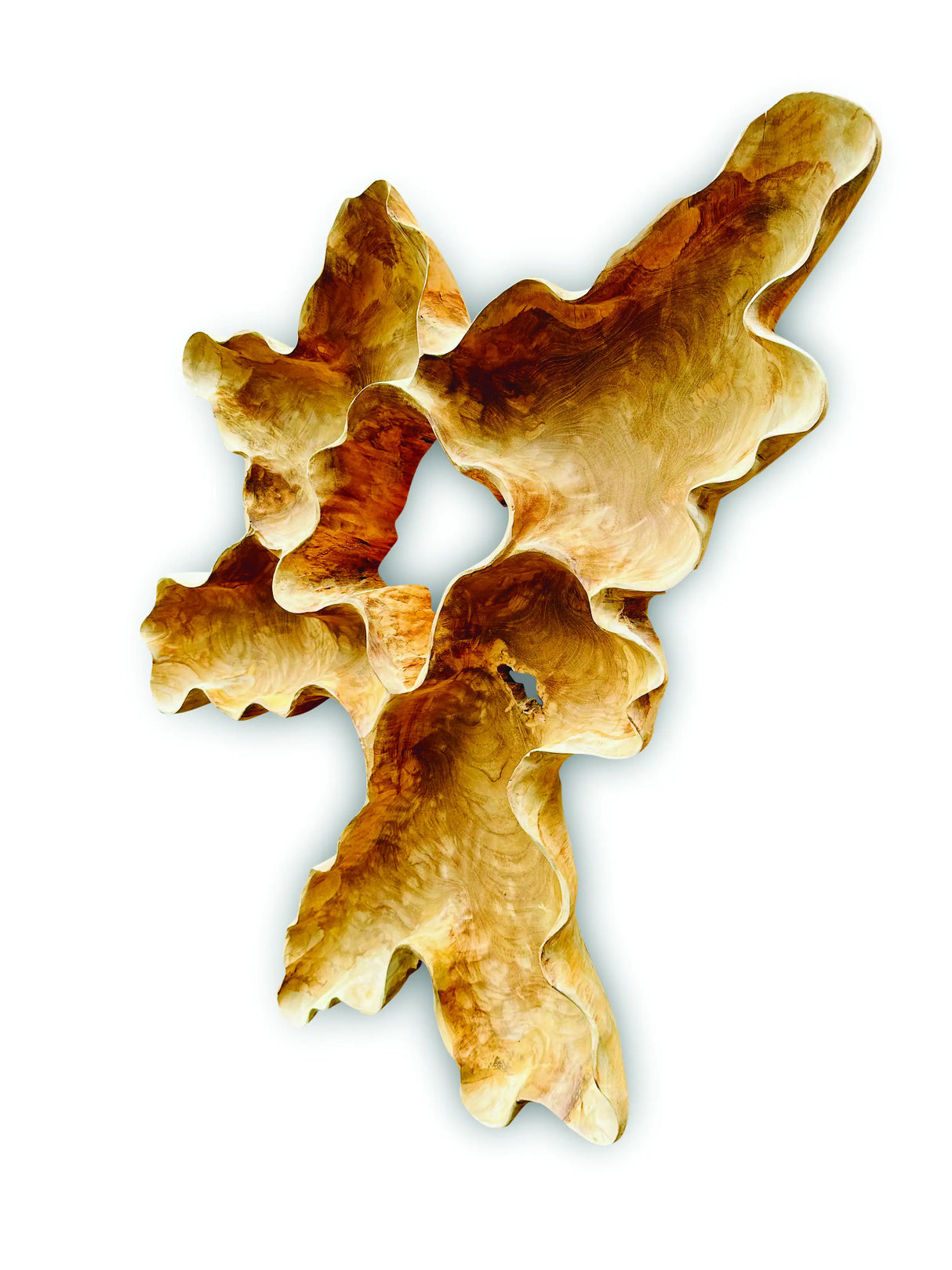 TEAK ROOT WALL ART SCULPTURE LARGE (ALL UNIQUELY DIFFERENT)