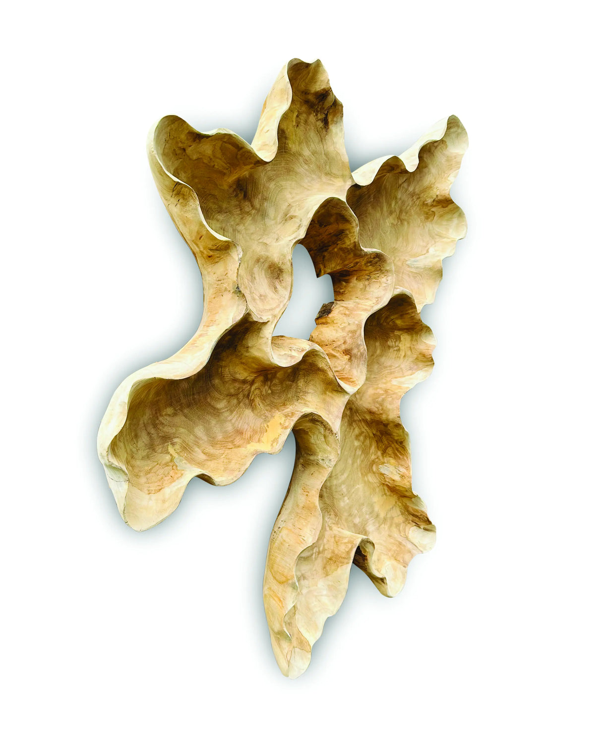 TEAK ROOT WALL ART SCULPTURE LARGE (ALL UNIQUELY DIFFERENT)