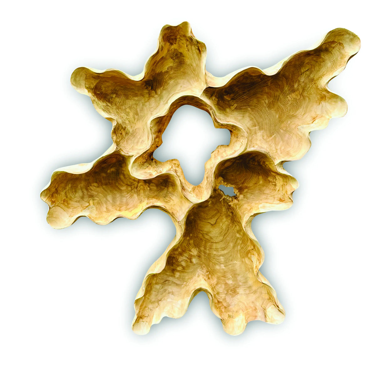 TEAK ROOT WALL ART SCULPTURE LARGE (ALL UNIQUELY DIFFERENT)