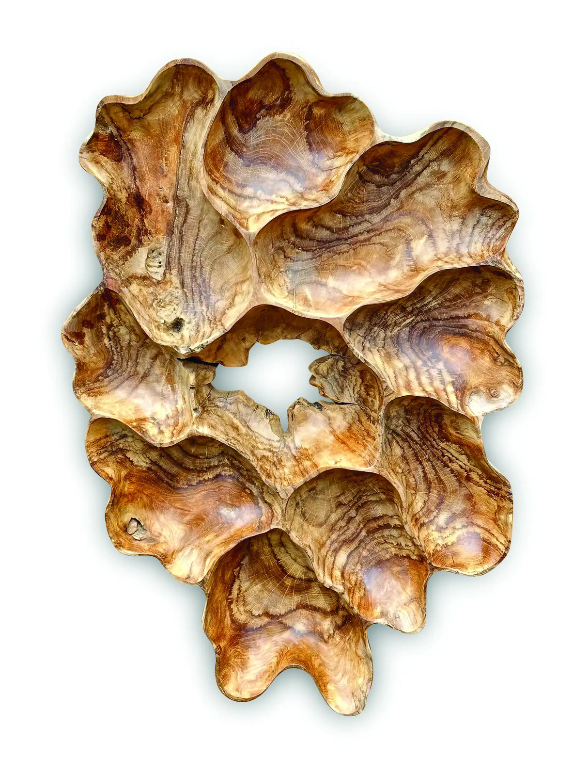 TEAK ROOT WALL ART SCULPTURE LARGE (ALL UNIQUELY DIFFERENT)