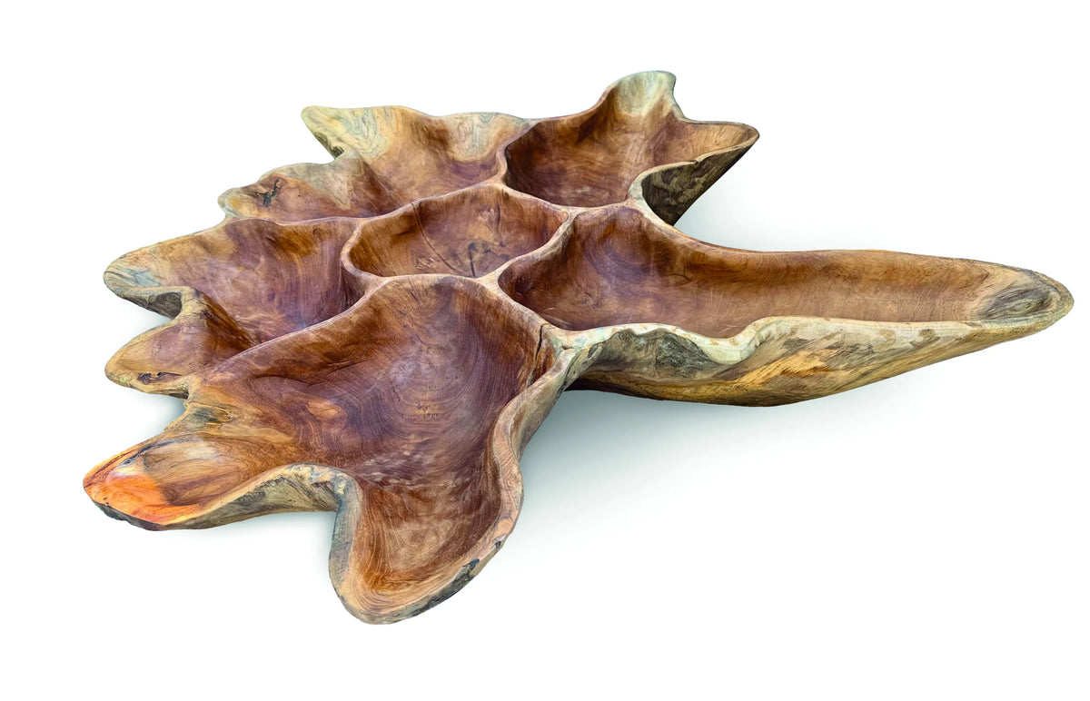 Teak Root Wall Art Sculpture Large