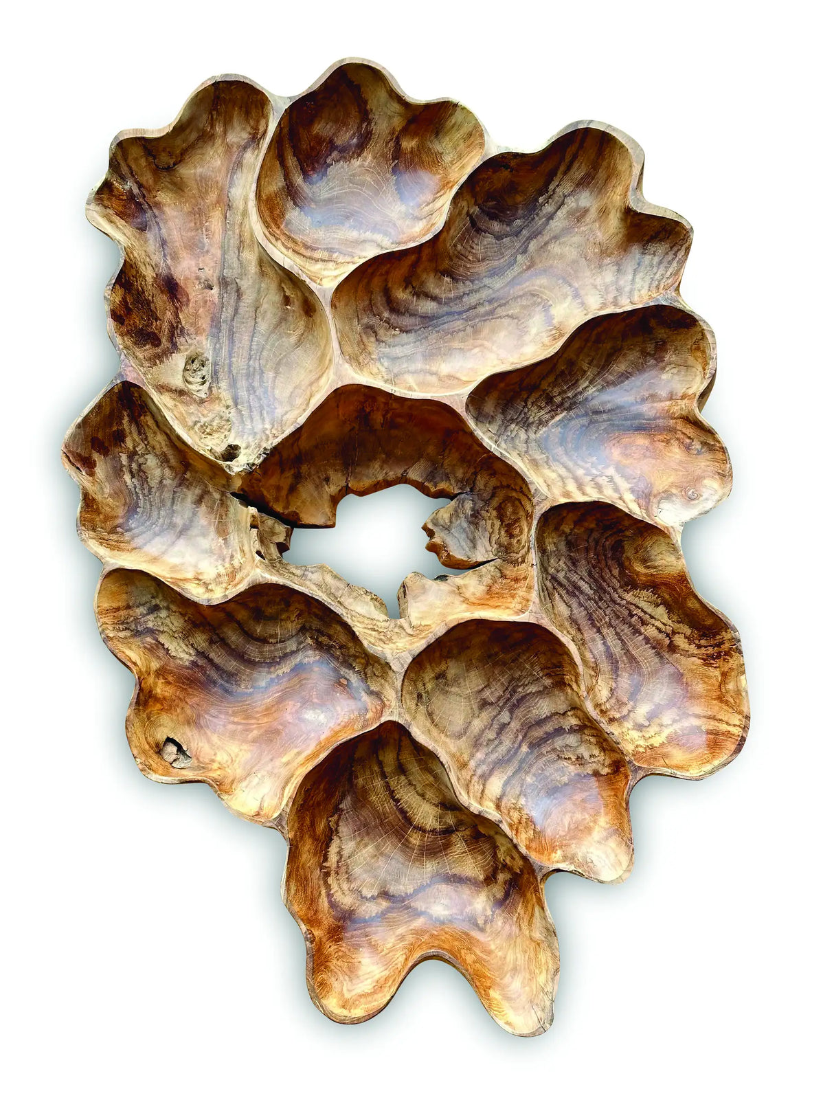TEAK ROOT WALL ART SCULPTURE LARGE (ALL UNIQUELY DIFFERENT)