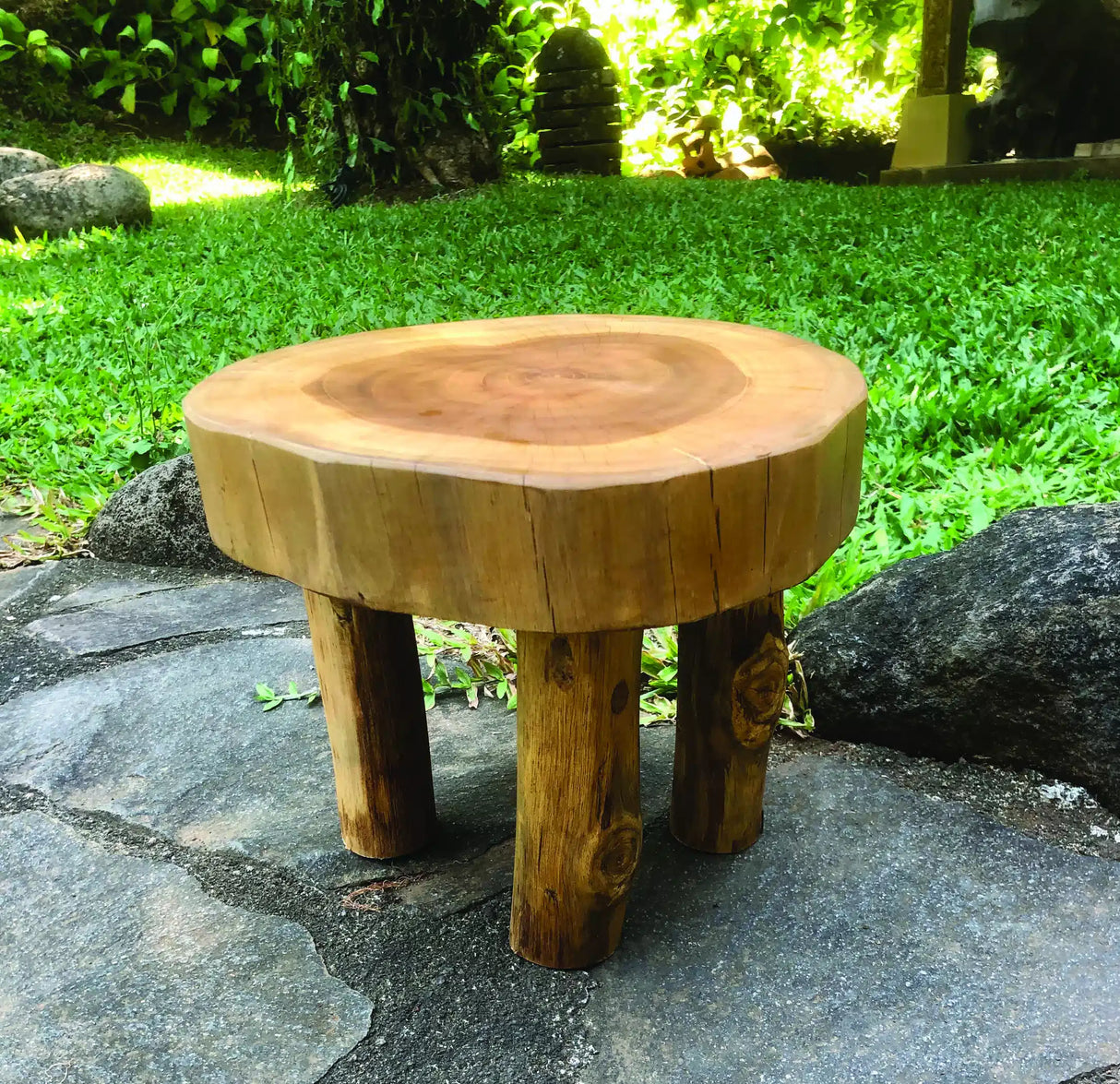 Root Mini Lamp Table/Foot Stool