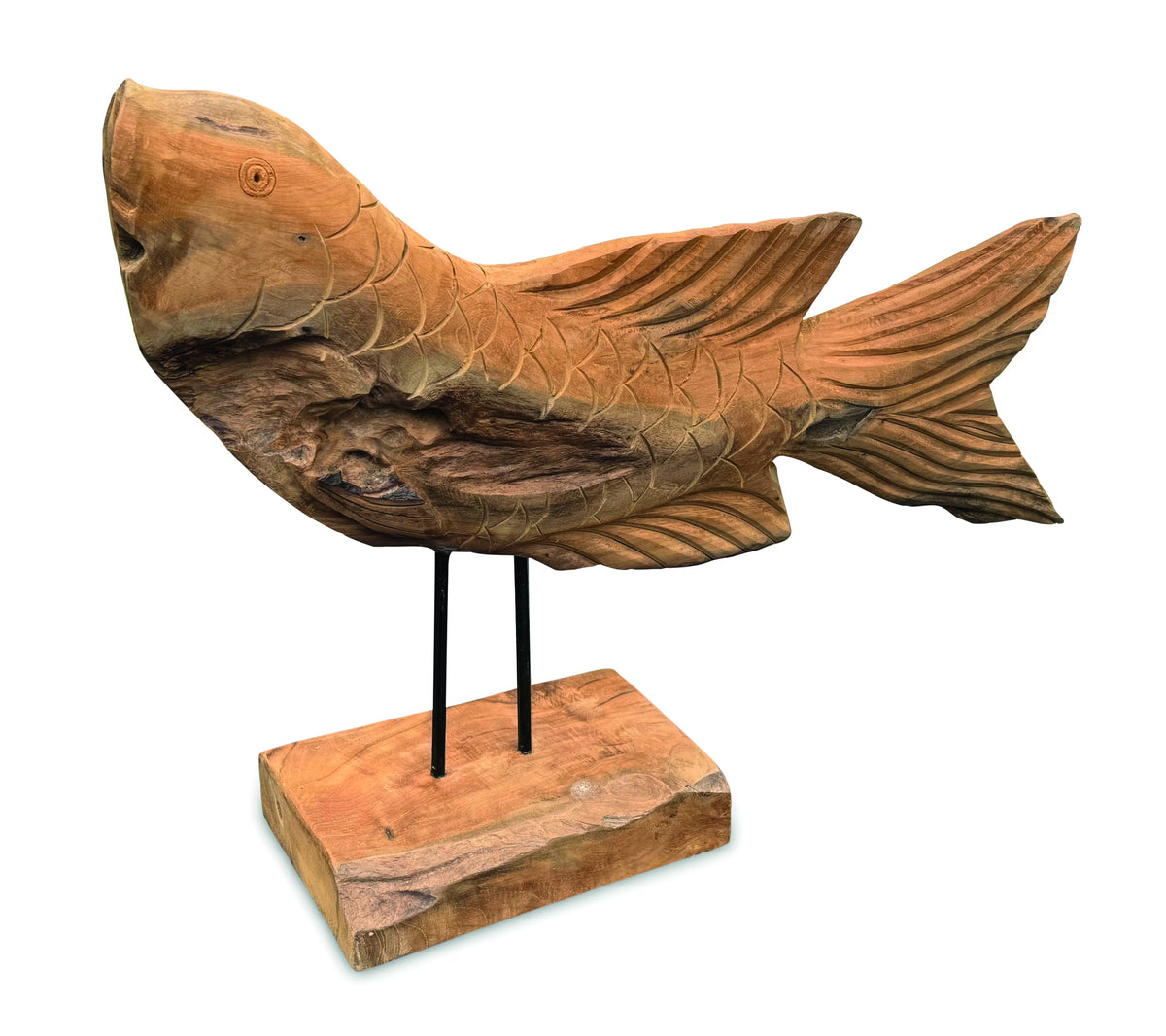 Star Gazing Koi Carp Sculpture