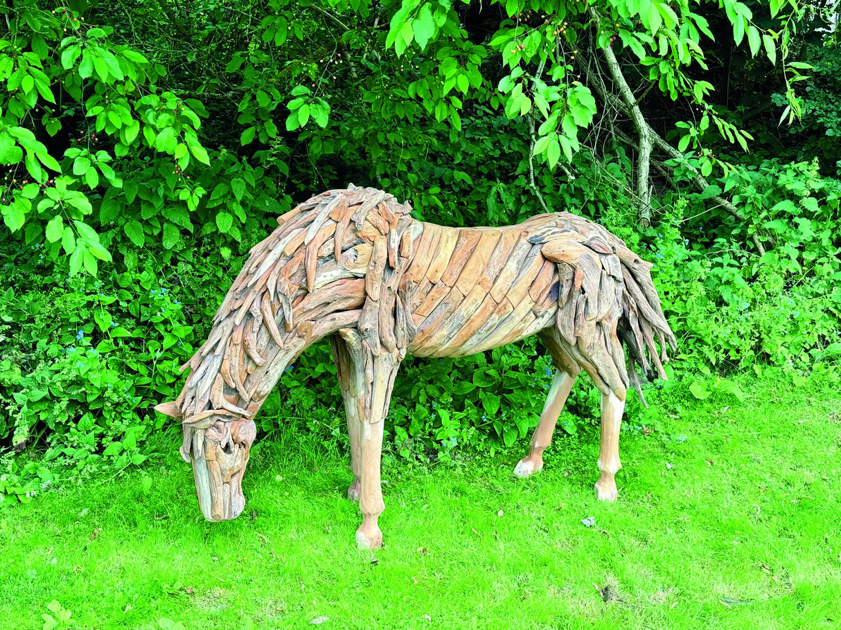Teak Root Grazing Horse