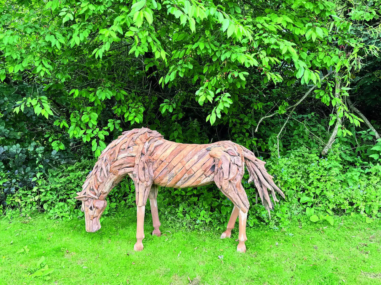 Teak Root Grazing Horse