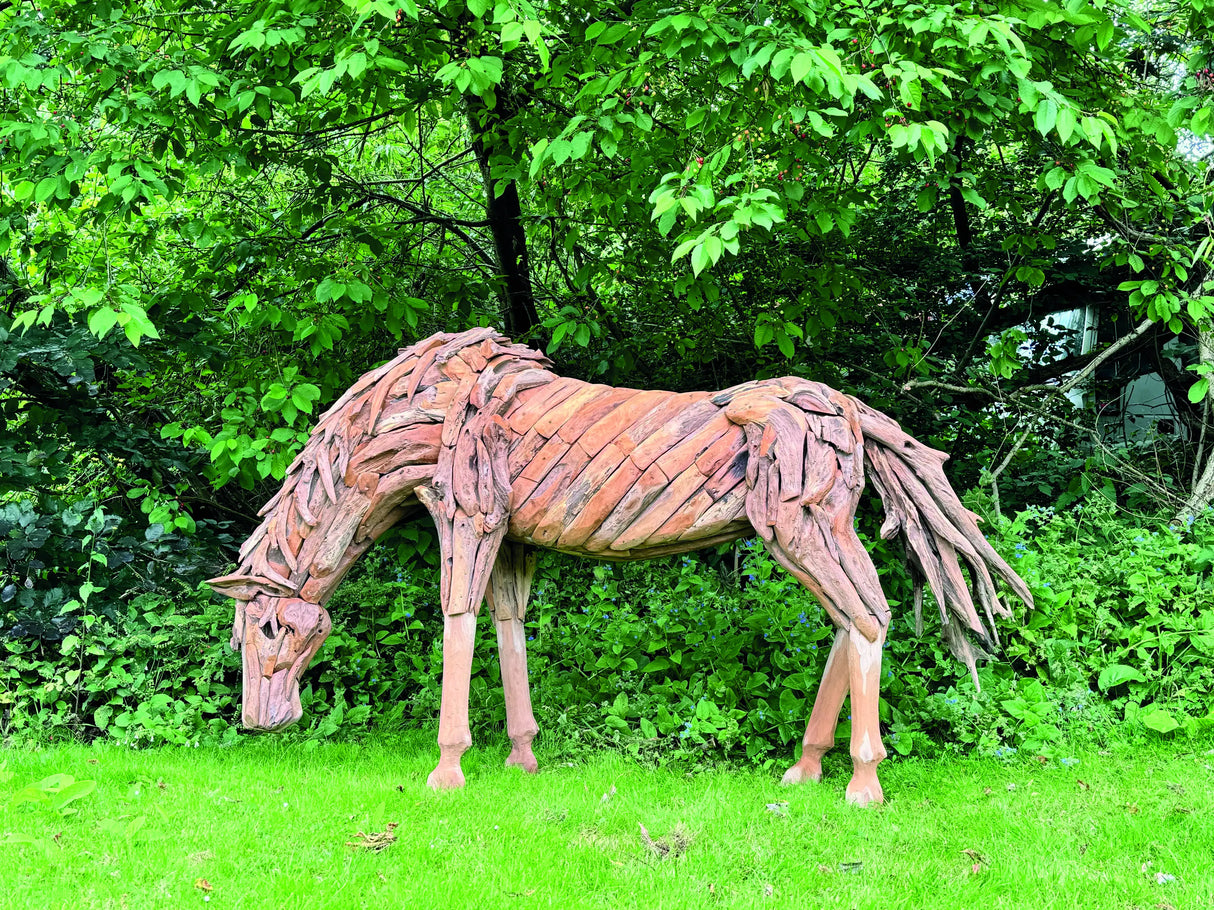 Teak Root Grazing Horse