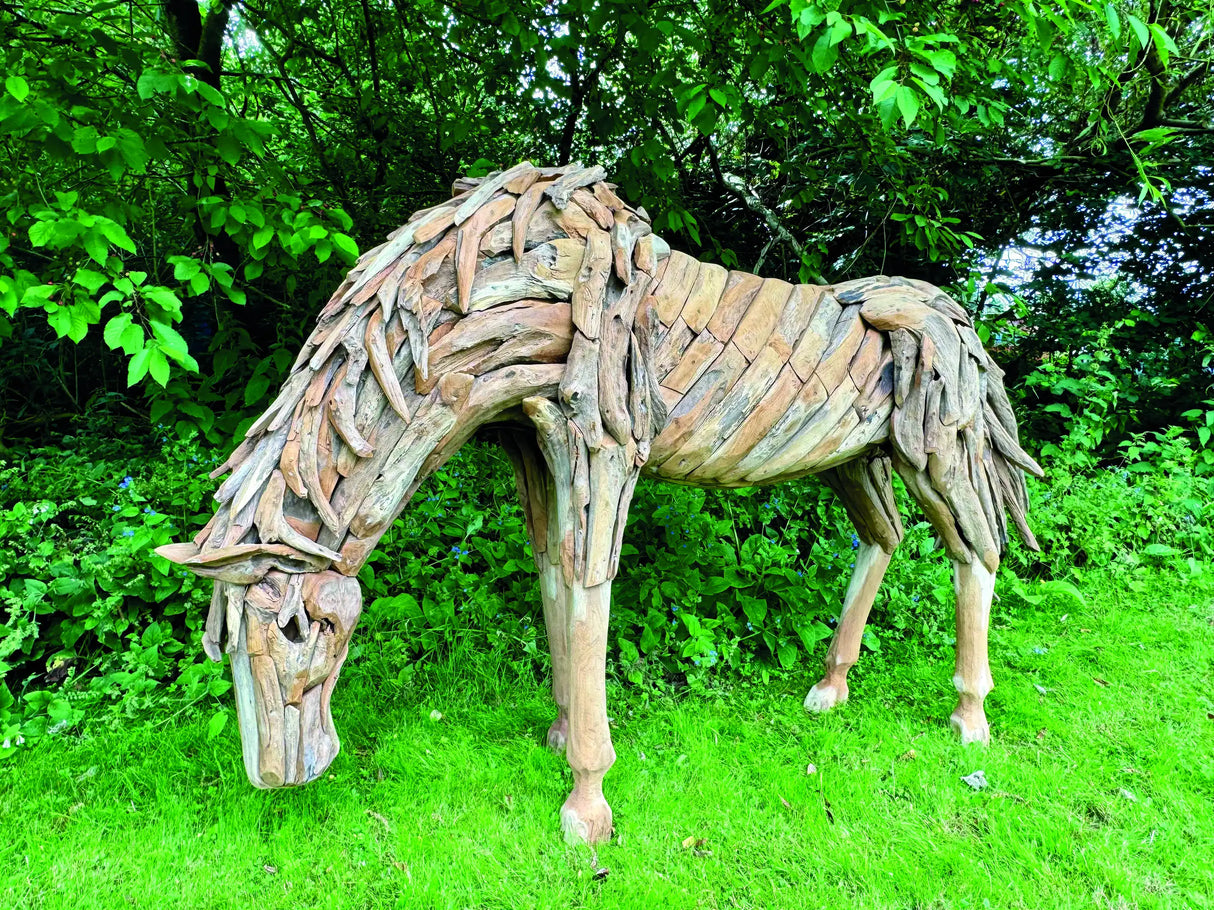 Teak Root Grazing Horse
