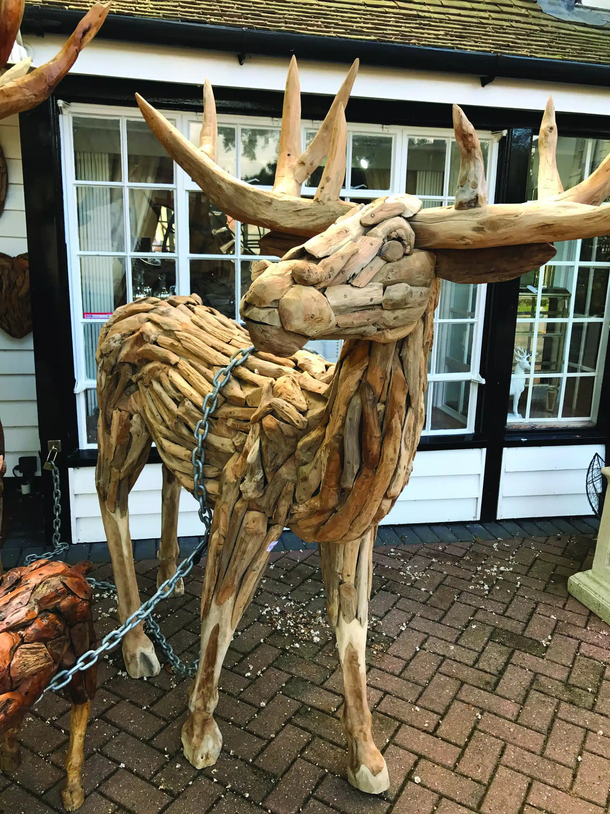 Root Reindeer/Stag