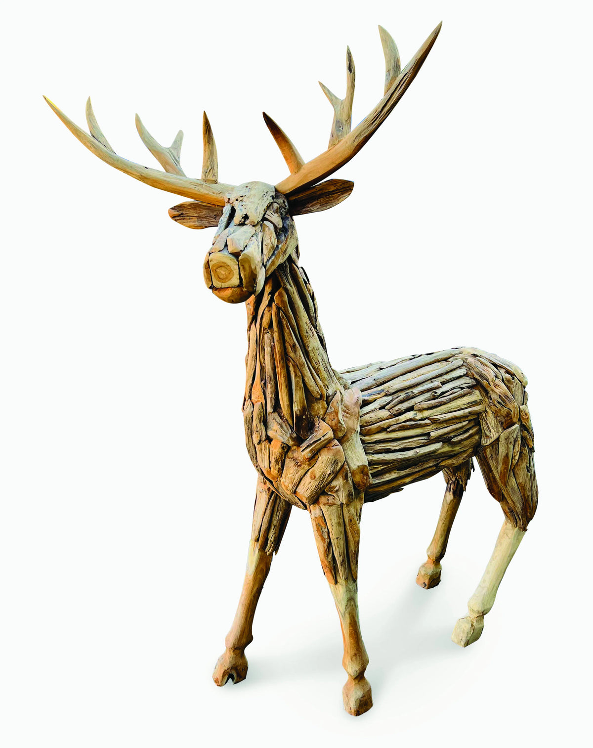 Root Reindeer/Stag