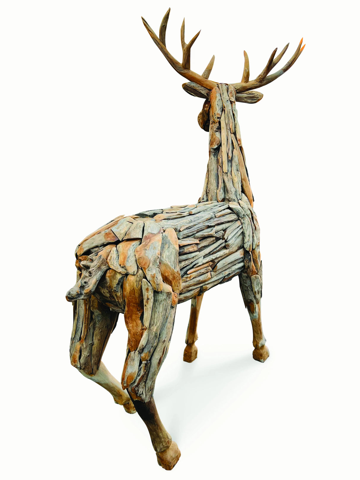 Root Reindeer/Stag