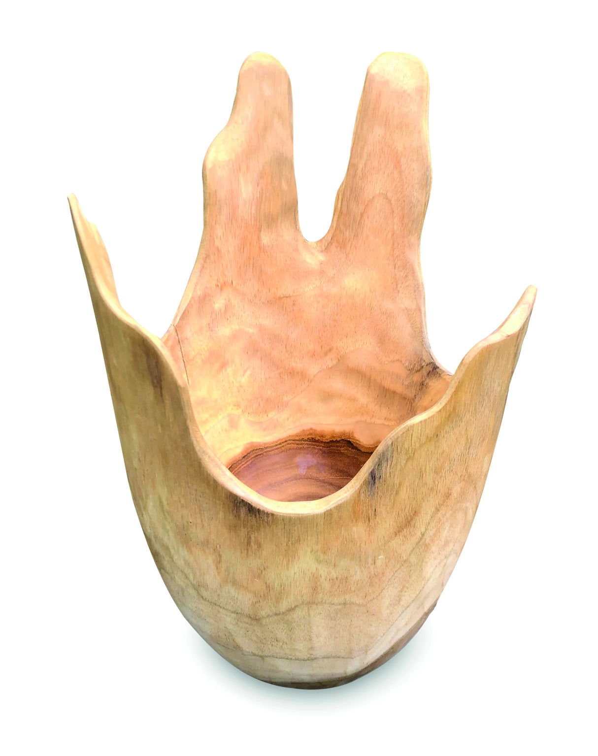 Exotic Driftwood Bowl