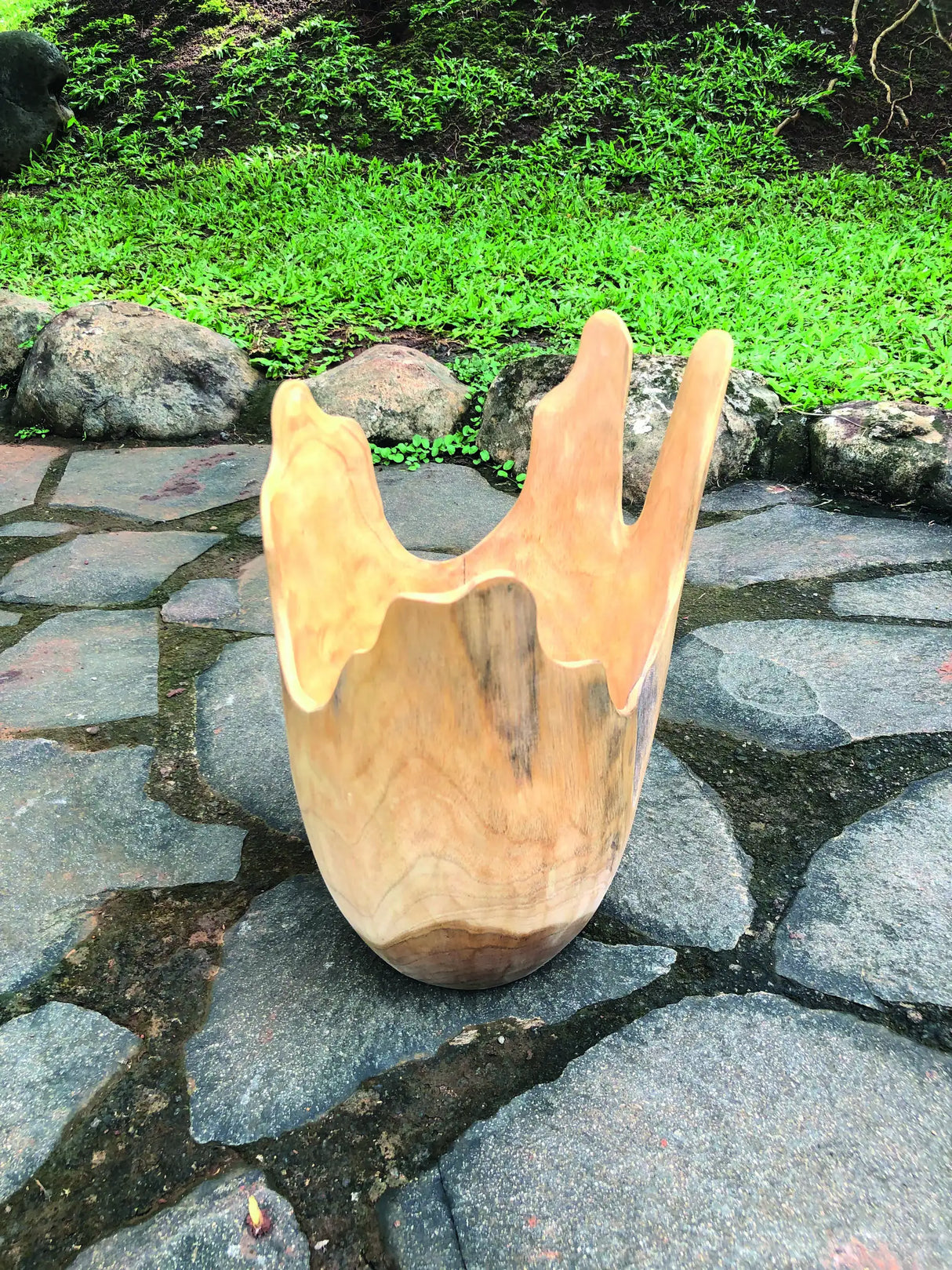 Exotic Driftwood Bowl