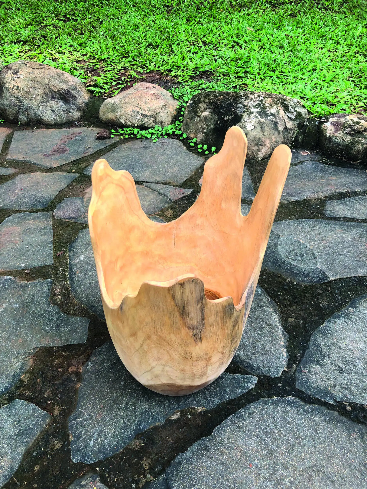 Exotic Driftwood Bowl