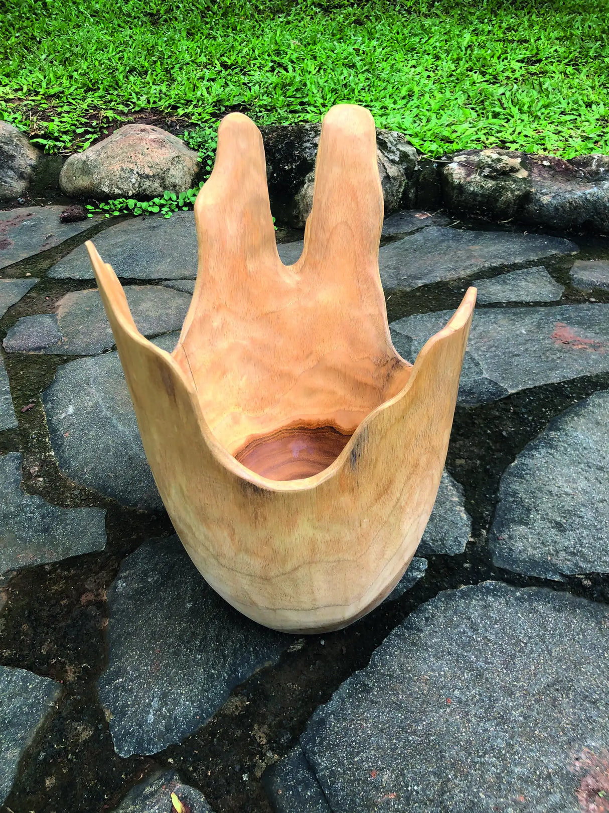 Exotic Driftwood Bowl