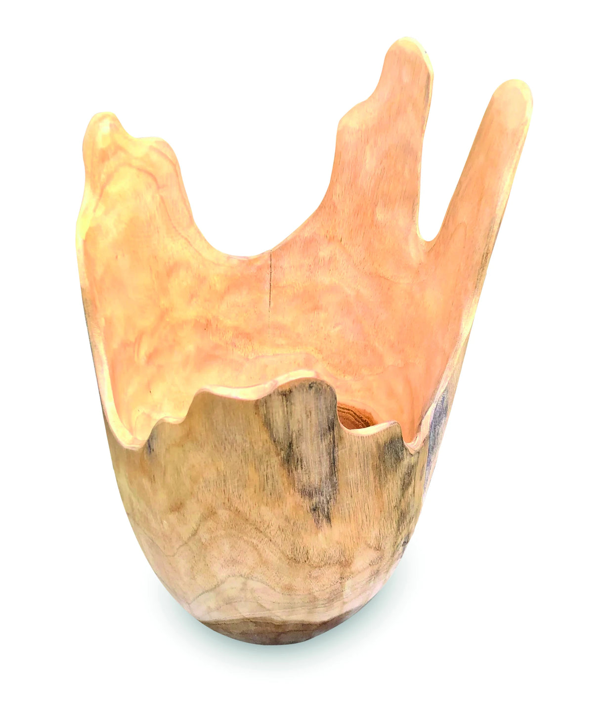 Exotic Driftwood Bowl