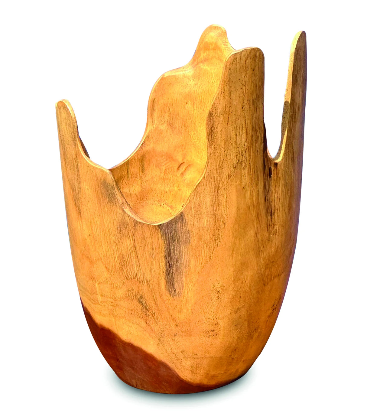 Exotic Driftwood Bowl