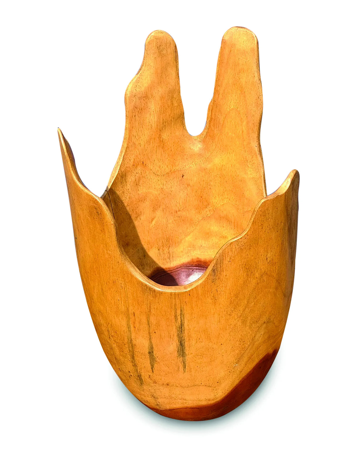 Exotic Driftwood Bowl