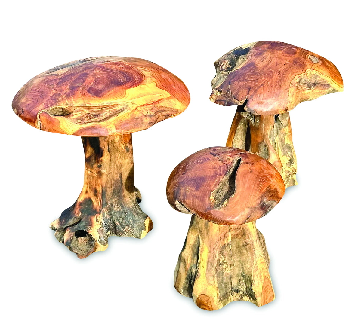 Root Chunky Mushrooms Set Of 3;Teak Root Mushroom Large