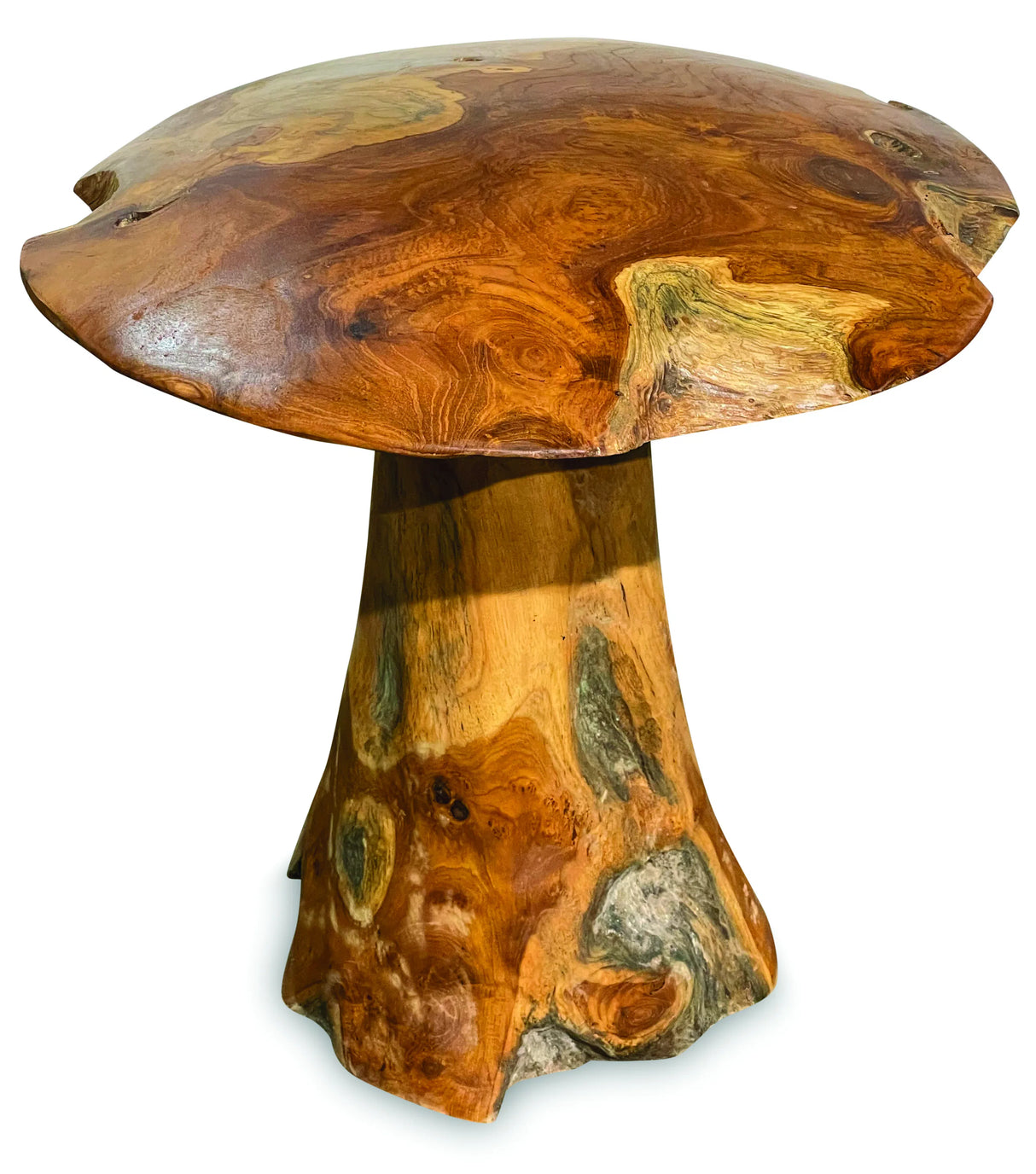 teak root mushroom extra large