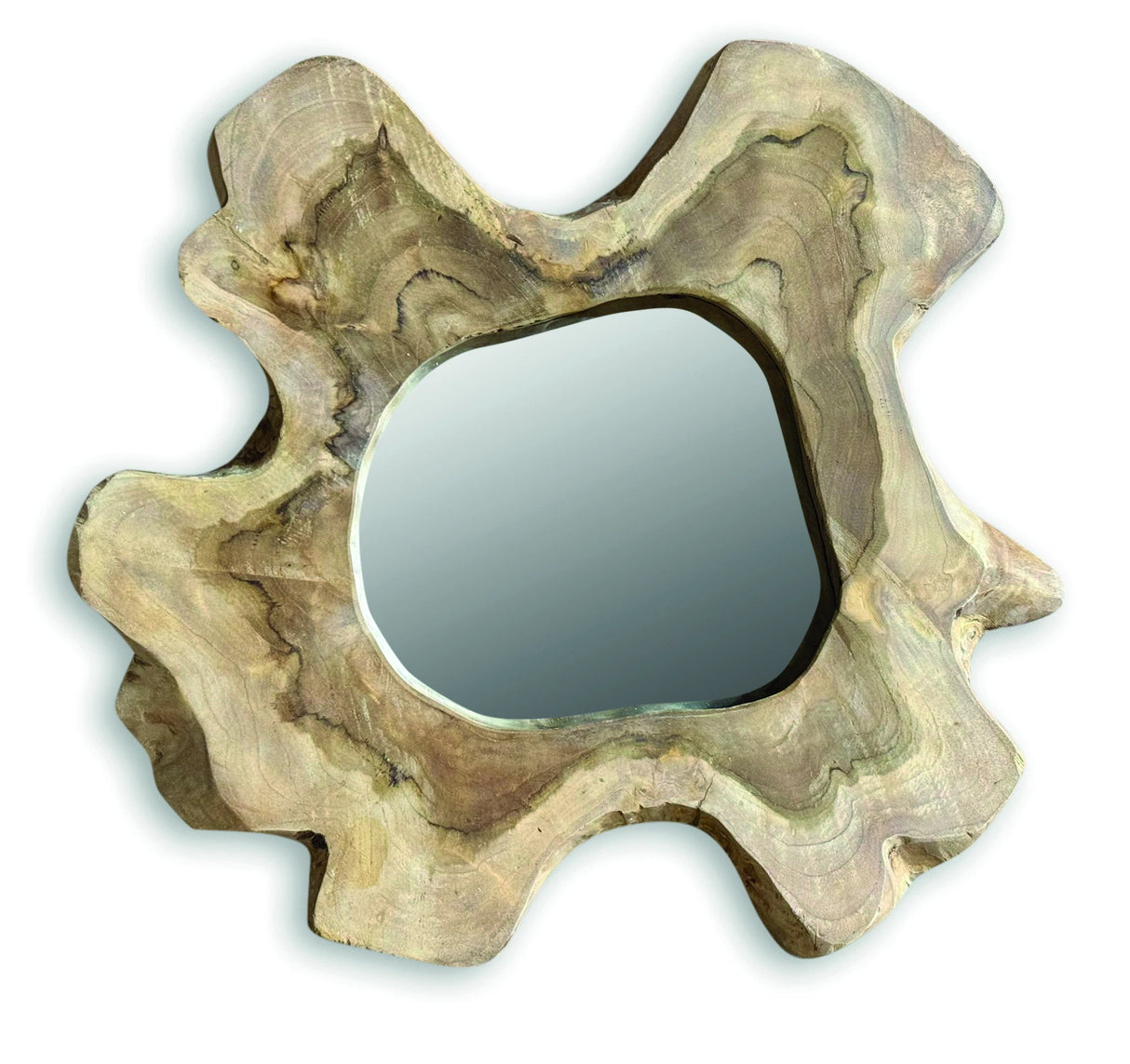 Teak Tree Slice Wall Mirror Medium