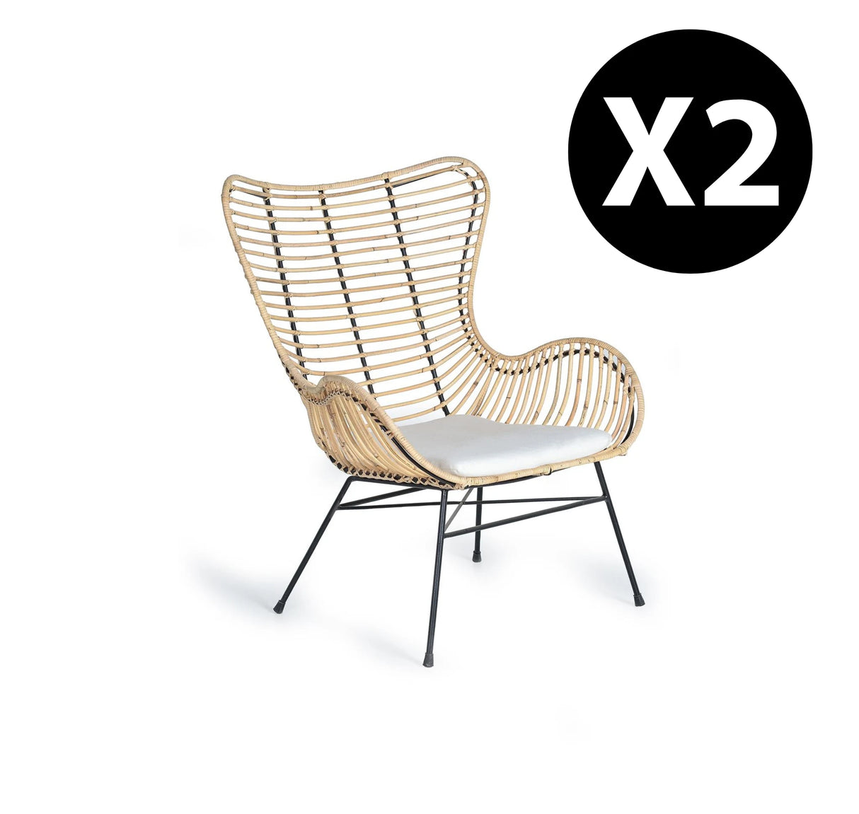 Giner and Colomer Set Of 2 Rattan Chairs With Cushions