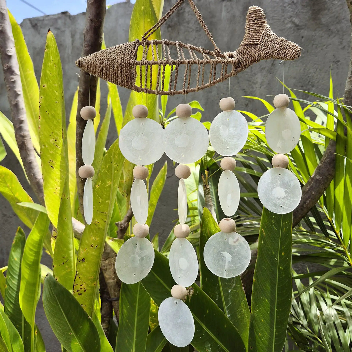 String Fish and Natural Copis Drop