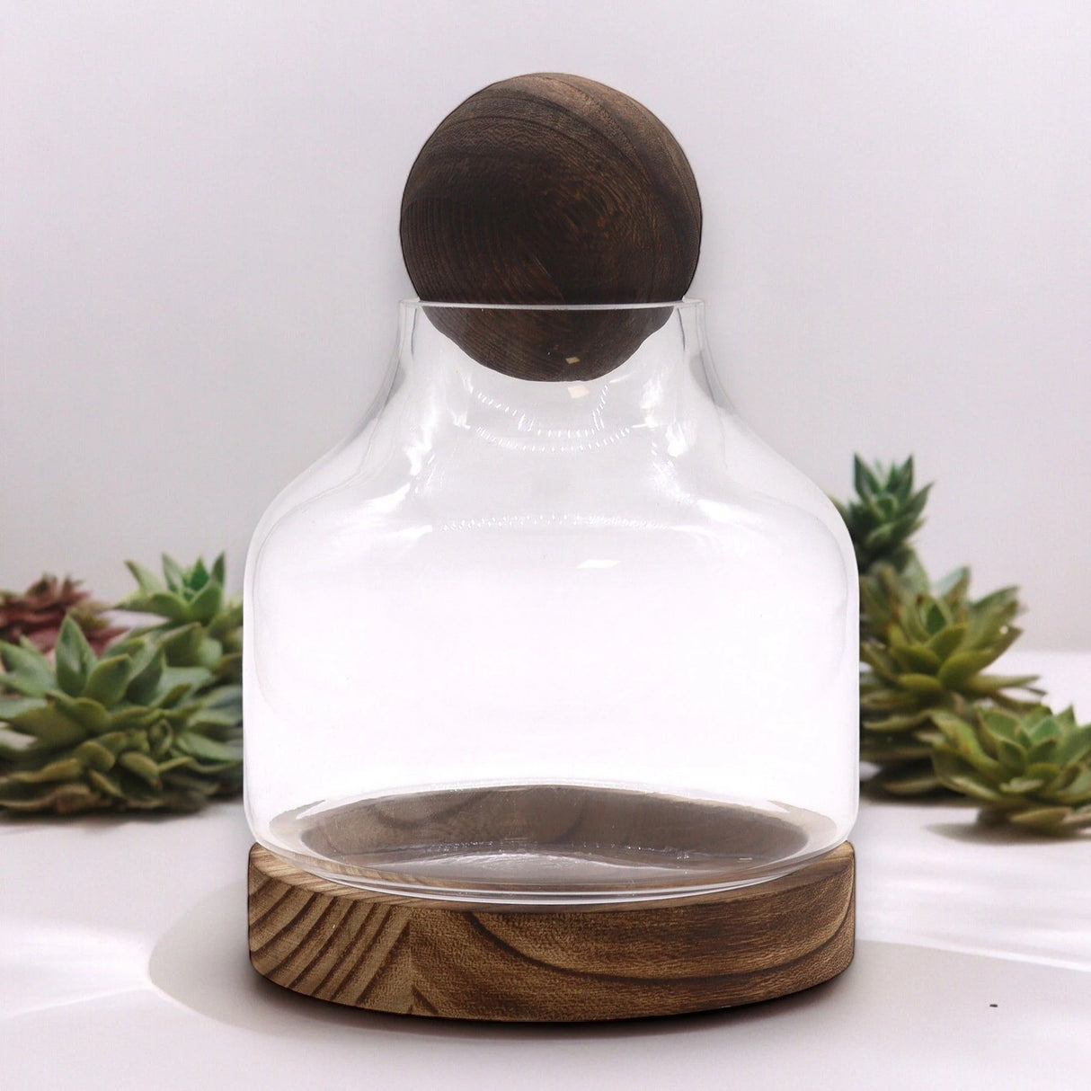 Medium Ball Top Terrarium on Dark Tung Wood