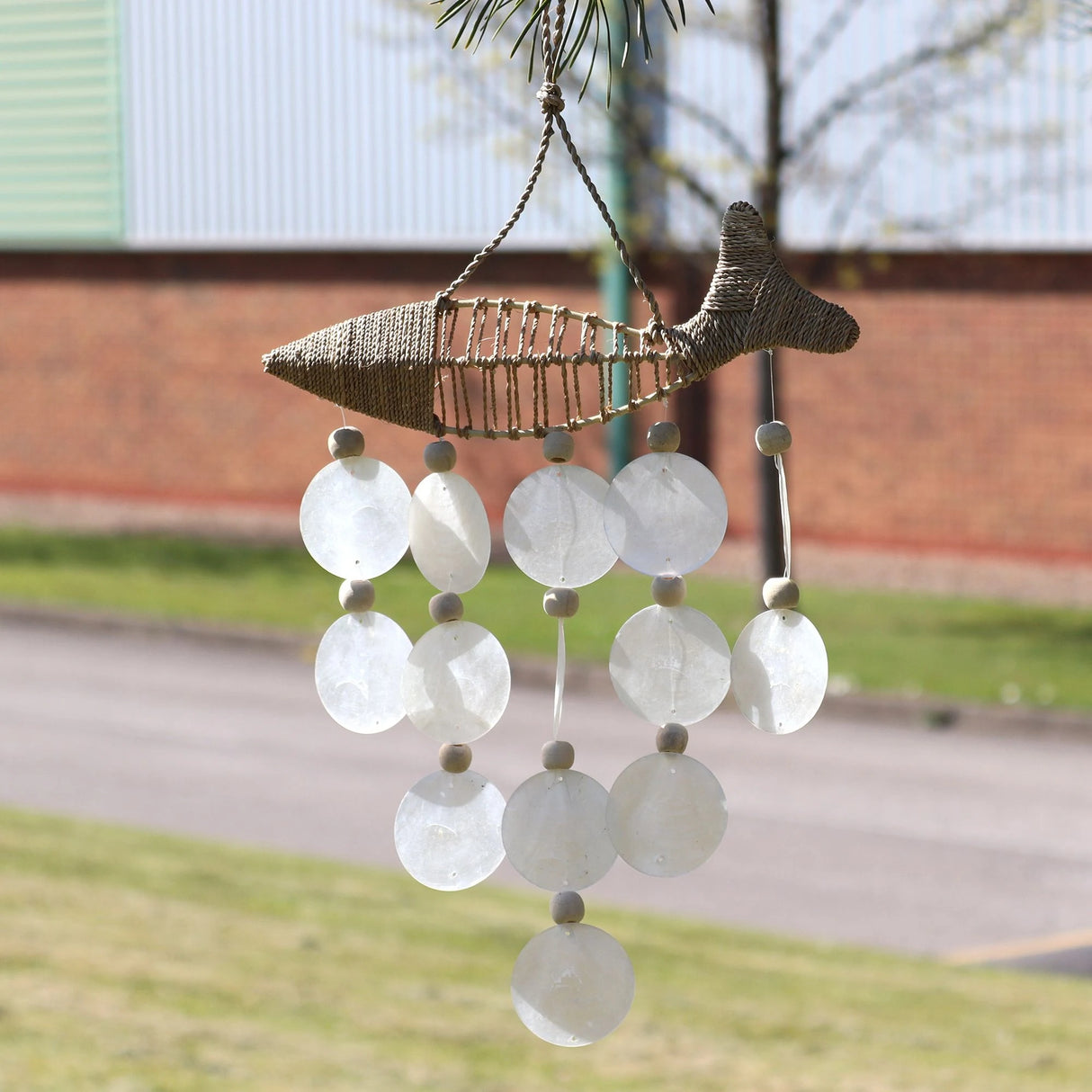 String Fish and Natural Copis Drop