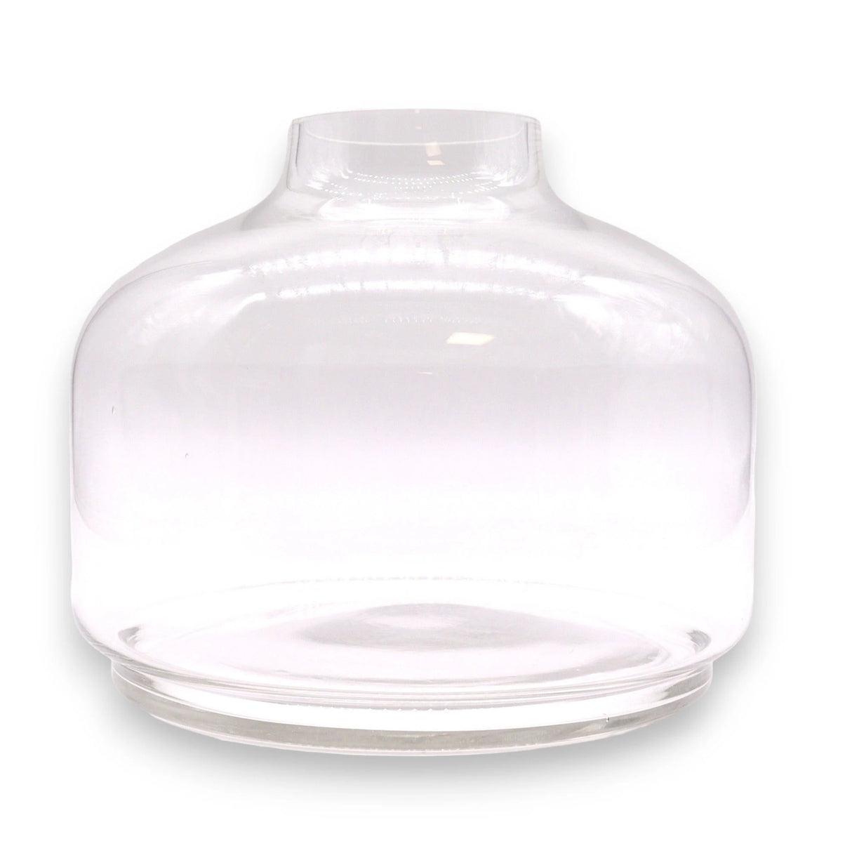 Ex-Large Ball Top Terrarium on Dark Tung Wood