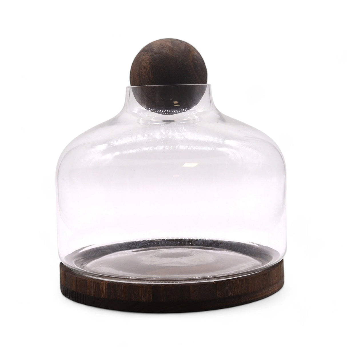 Ex-Large Ball Top Terrarium on Dark Tung Wood
