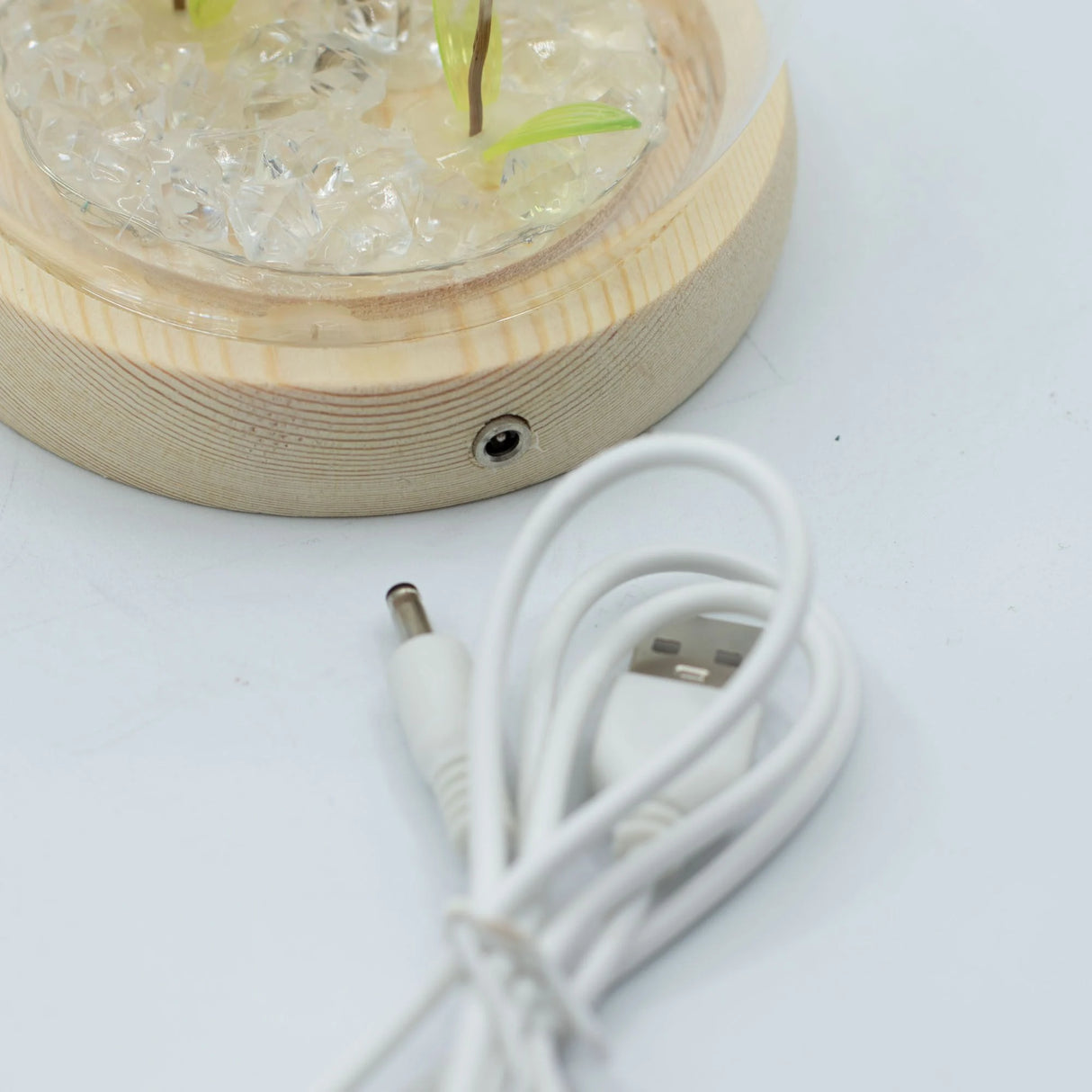 Floral Glow Garden Dome - 2 Dandelions - LED USB