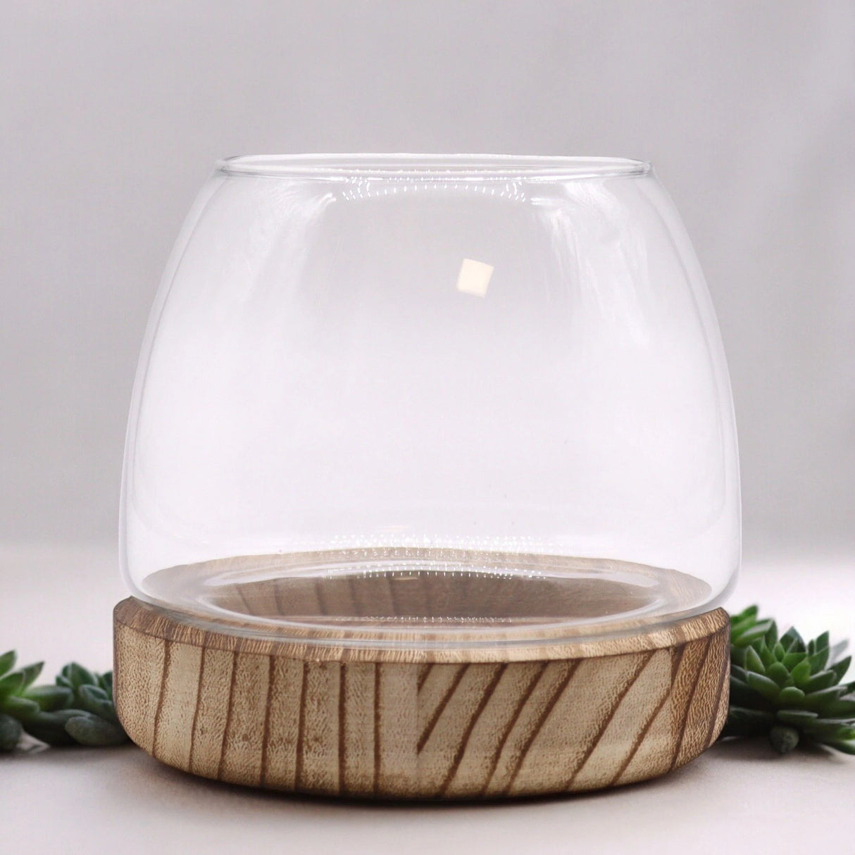 Small Terrarium on Natural Tung Wood