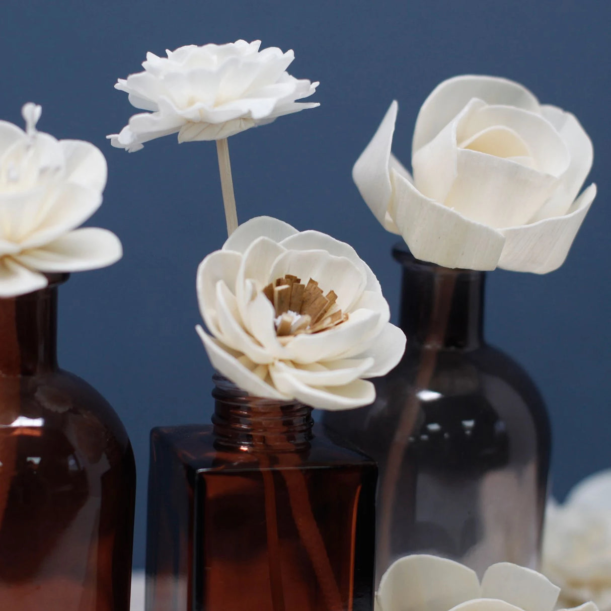 Natural Diffuser Flowers - Med Carnation on String