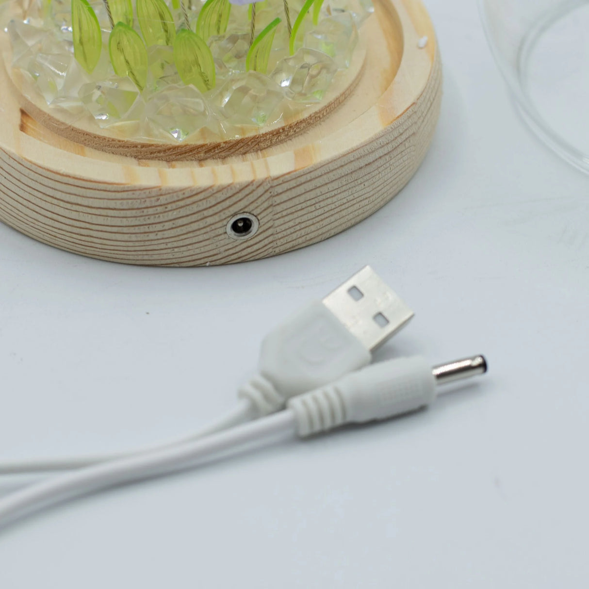 Floral Glow Garden Dome - 20 Tulips - LED USB