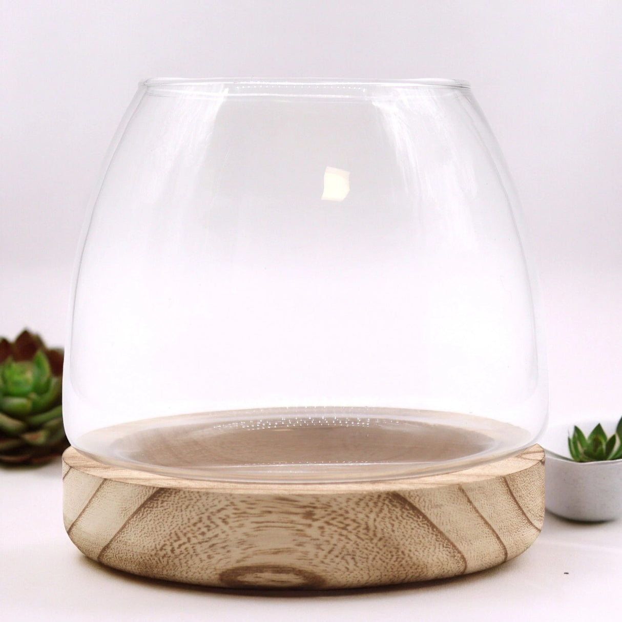 Medium Terrarium on Natural Tung Wood