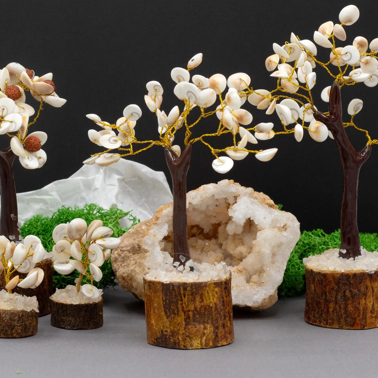 Med Gomati Chakra Circle Stone Tree - (45 stones)