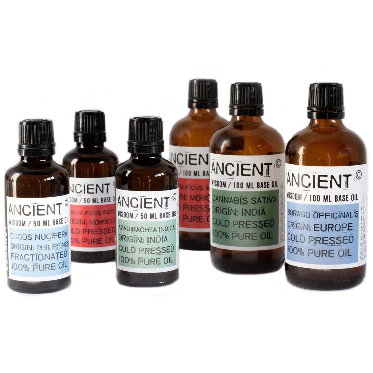 Apricot Kernel Oil - 50ml