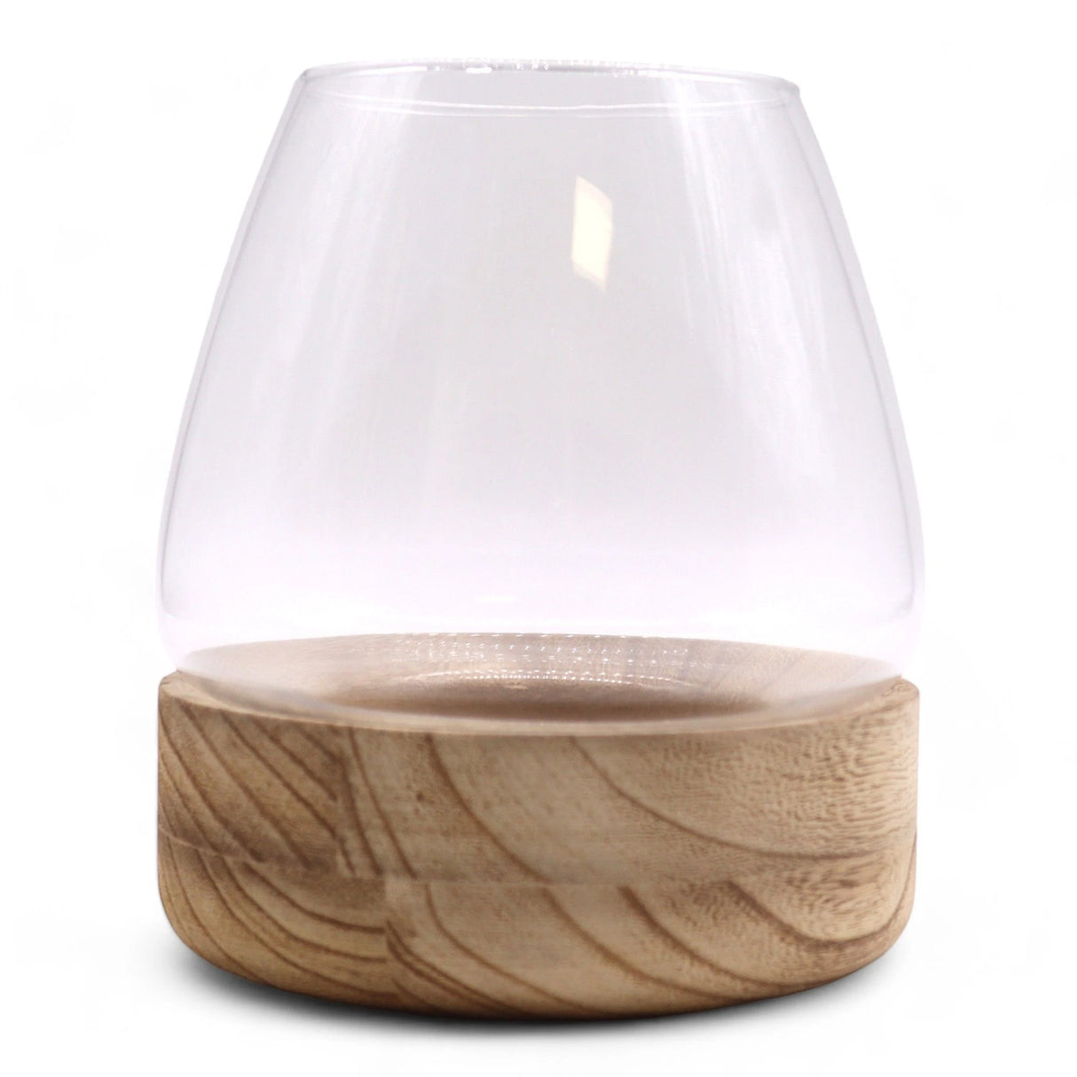 Large Terrarium on Natural Tung Wood