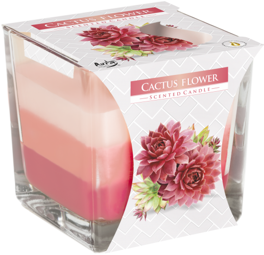 Rainbow Jar Candle - Cactus flower