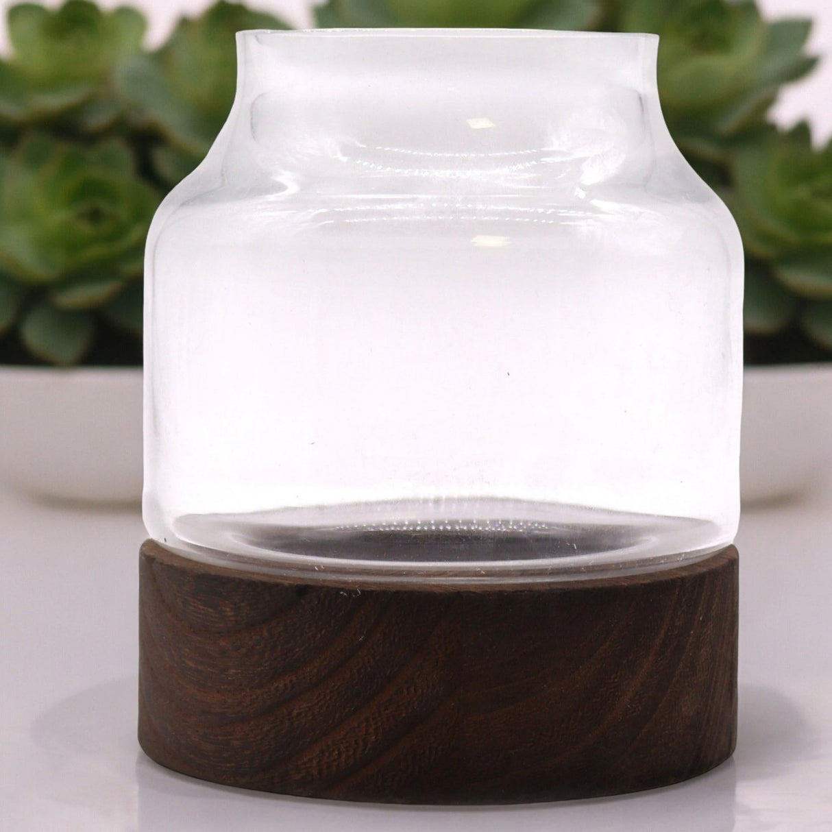 Medium Shaped Terrarium on Dark Tung Wood