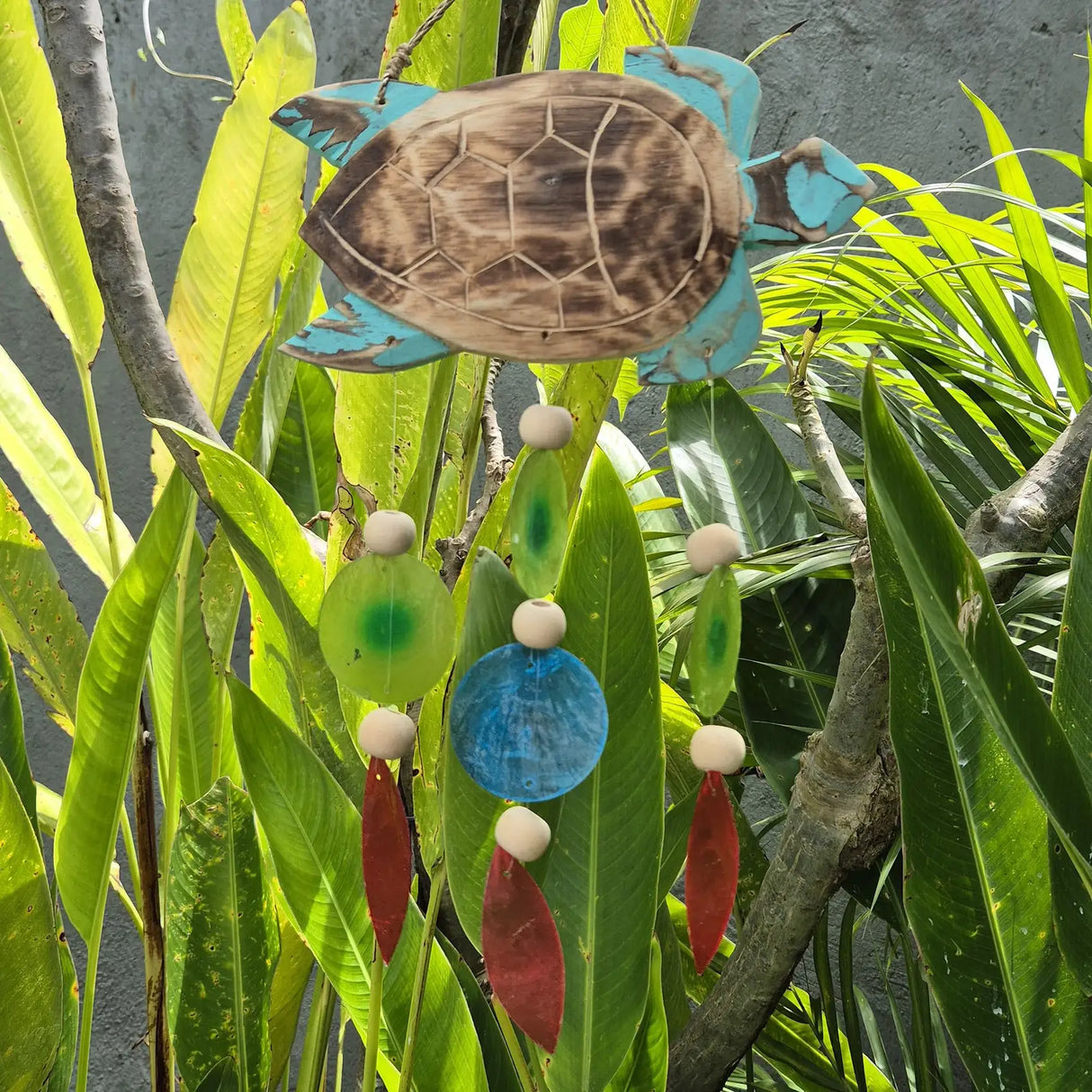 Aqua Turtle Carving and Copis Drop