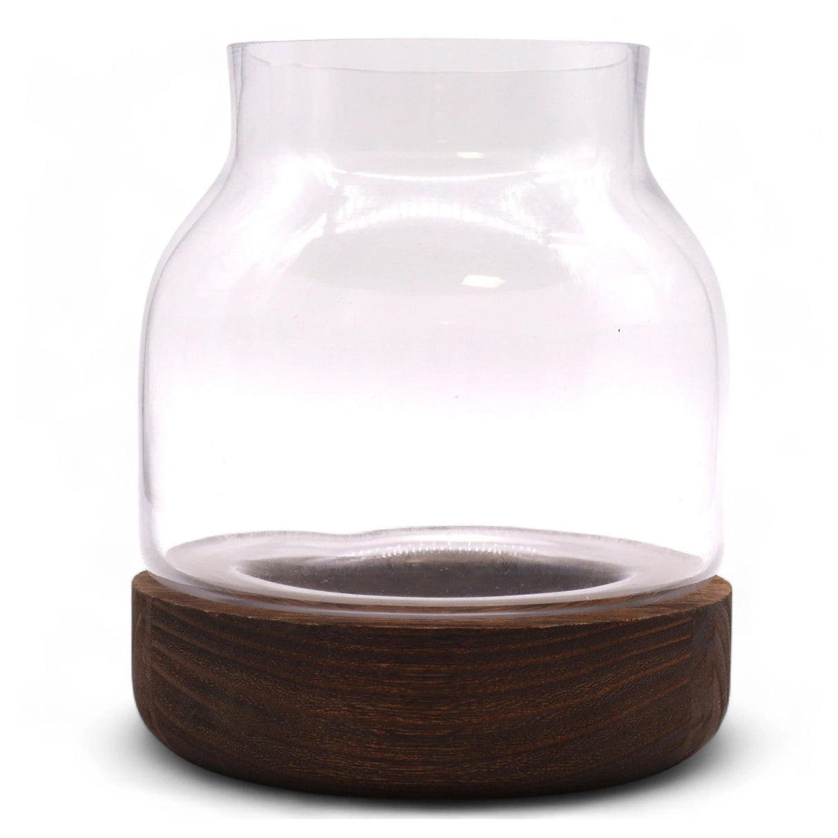 Medium Shaped Terrarium on Dark Tung Wood