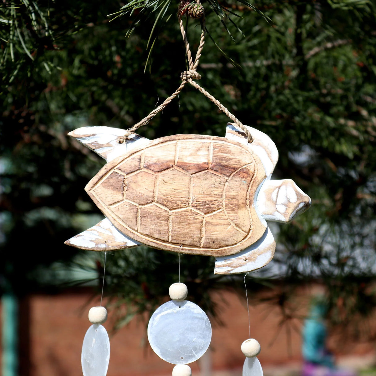 Whitewash Turtle Carving and Natural Copis Drop