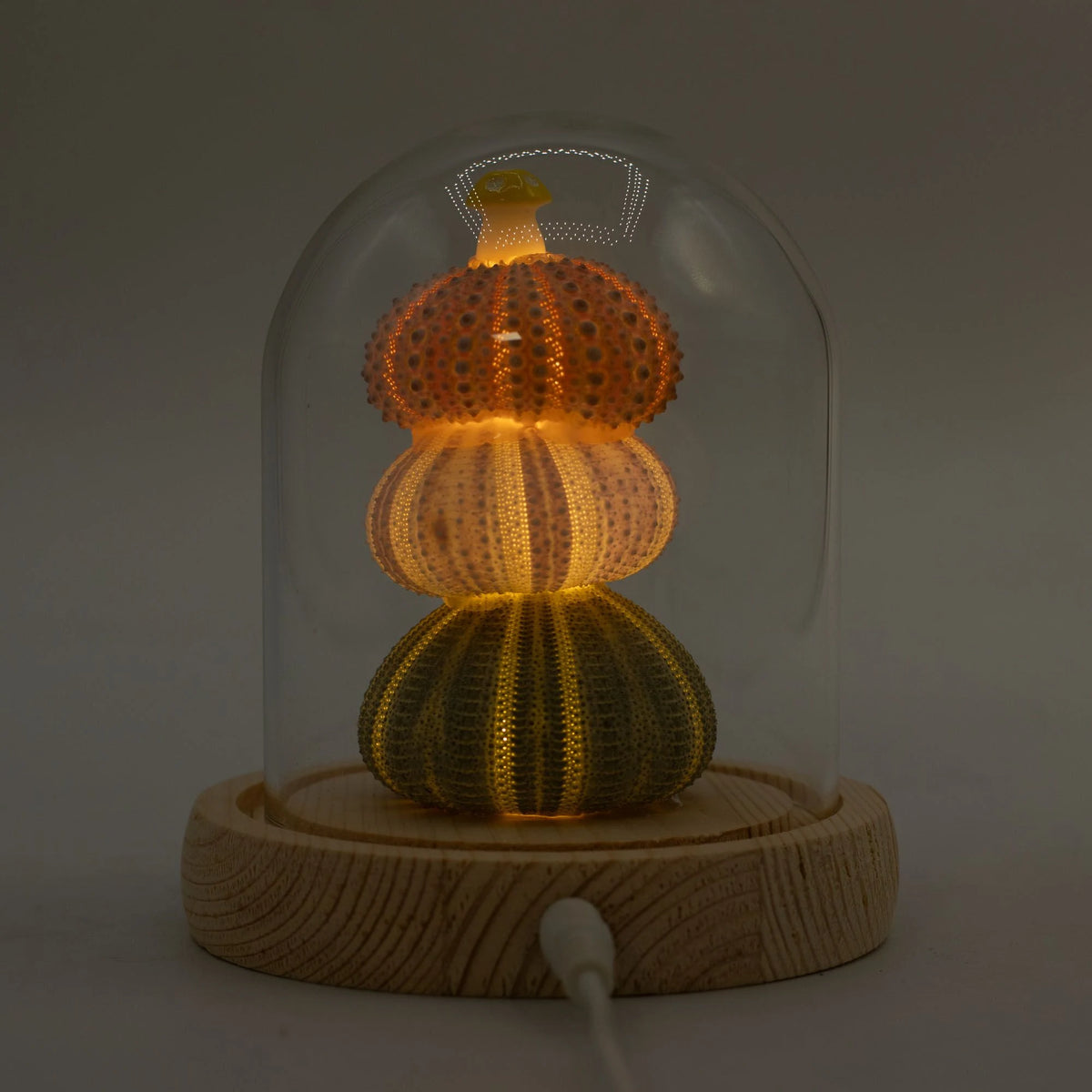 Floral Glow Garden Dome - 3 Sea Urchins - LED USB